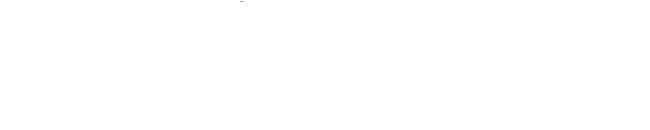 light logo